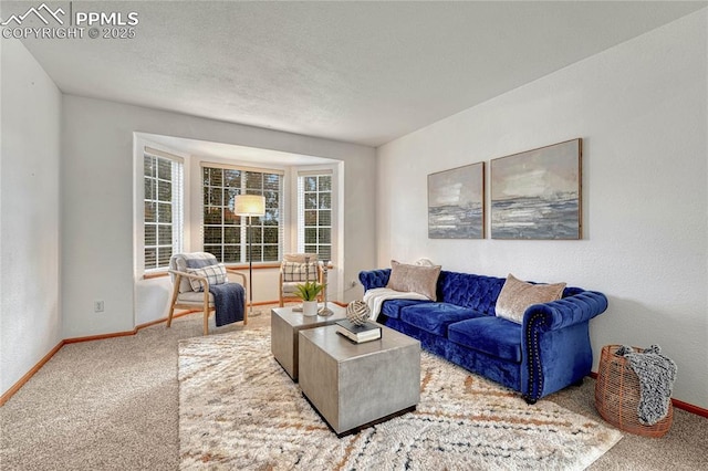 carpeted living area featuring a textured ceiling, a textured wall, and baseboards