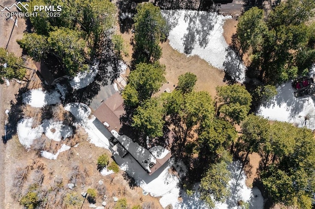drone / aerial view