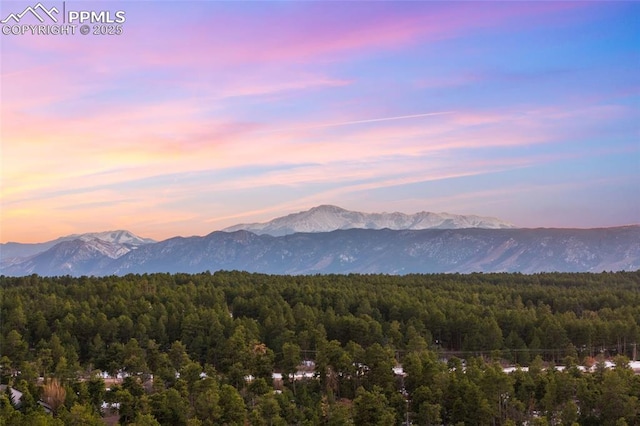 mountain view with a forest view