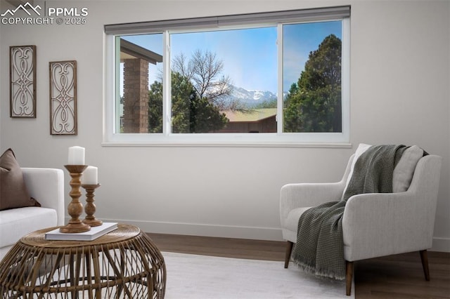 sitting room featuring baseboards and wood finished floors