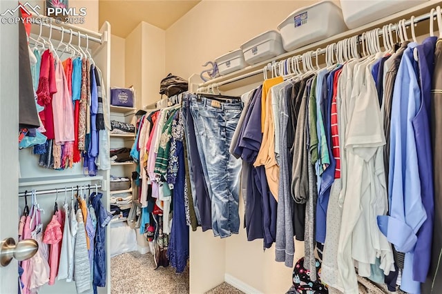 spacious closet with carpet flooring