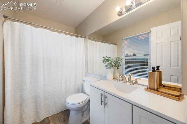 bathroom featuring toilet, wood finished floors, and vanity