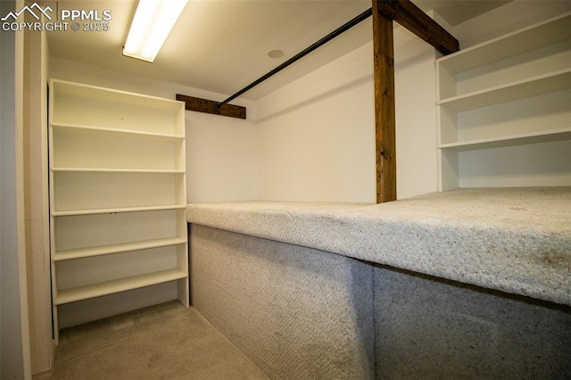 spacious closet with carpet flooring