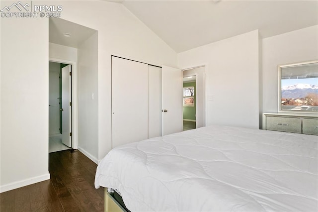 bedroom with a closet, vaulted ceiling, wood finished floors, and multiple windows