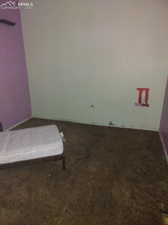 unfurnished bedroom with carpet