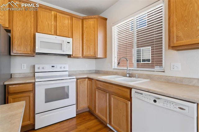 kitchen with light countertops, white appliances, a sink, and a healthy amount of sunlight