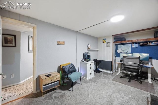 office space with carpet floors