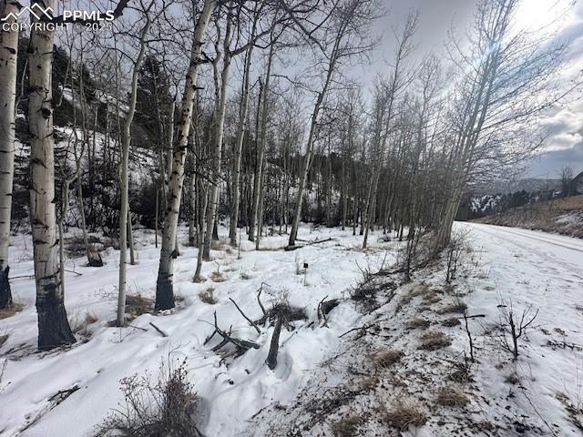 524 Buckhorn Rd, Cripple Creek CO, 80813 land for sale