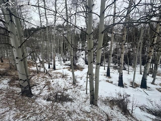 Listing photo 2 for 524 Buckhorn Rd, Cripple Creek CO 80813