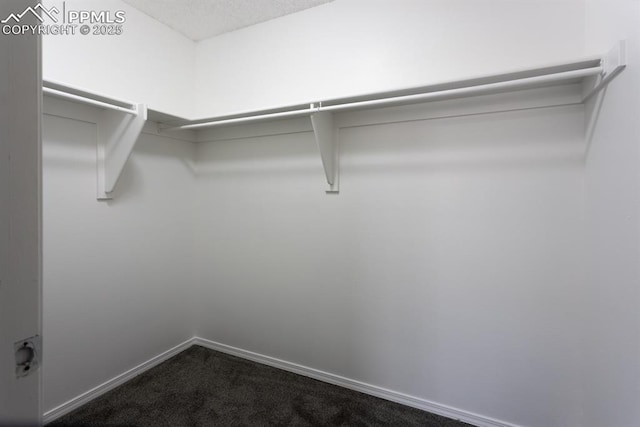 spacious closet featuring dark carpet