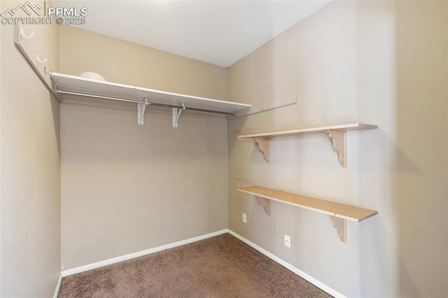 spacious closet with carpet