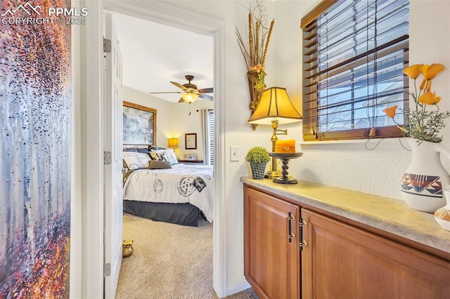 carpeted bedroom featuring multiple windows