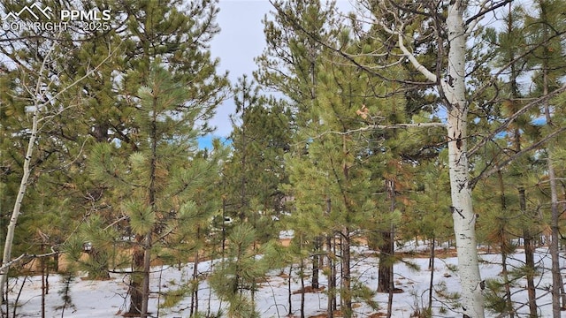 Listing photo 3 for TBD Piney Point Ln, Woodland Park CO 80863