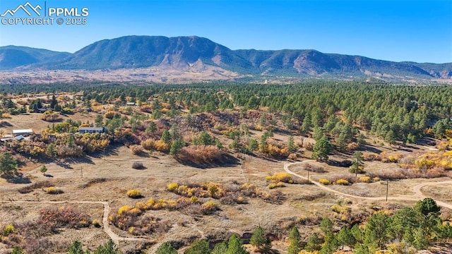 property view of mountains featuring a wooded view