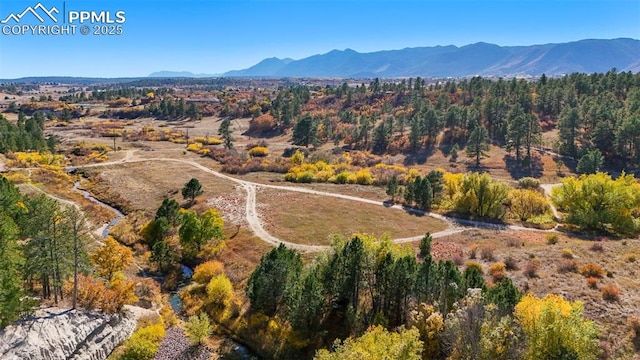 bird's eye view featuring a view of trees and a mountain view