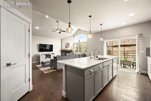 kitchen with stainless steel dishwasher, gray cabinets, a sink, and dark wood-style flooring