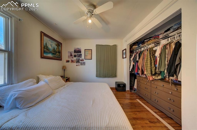 bedroom with a closet, multiple windows, ceiling fan, and wood finished floors