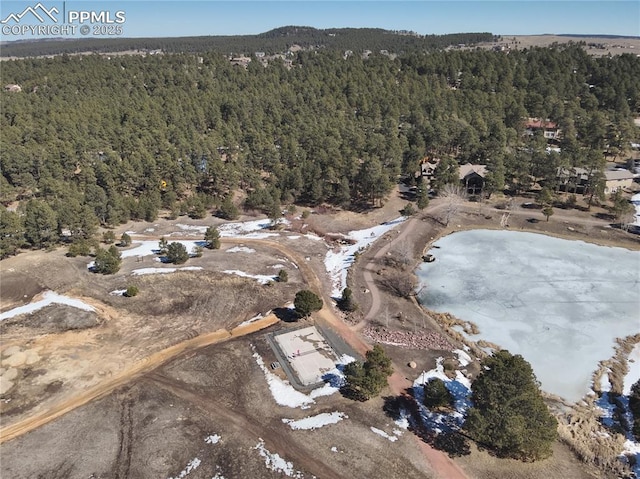 drone / aerial view with a forest view