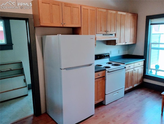 kitchen featuring white appliances, dark countertops, a wealth of natural light, and under cabinet range hood