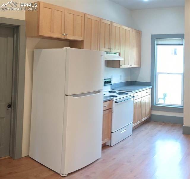 kitchen featuring white appliances, light brown cabinets, under cabinet range hood, and a wealth of natural light