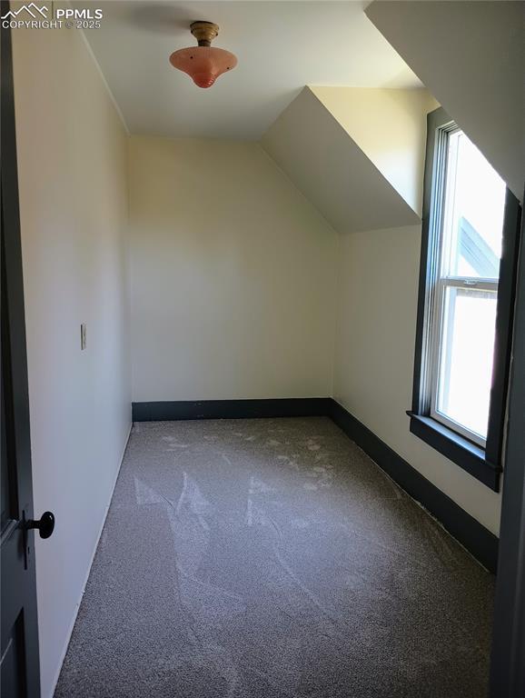 additional living space with lofted ceiling, carpet, and baseboards