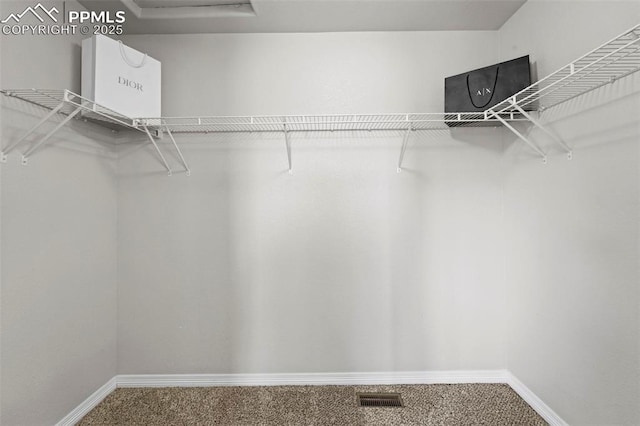 spacious closet featuring carpet floors and visible vents