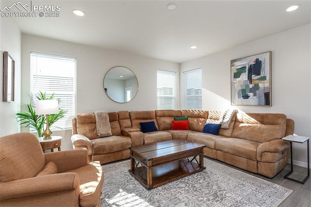 living area featuring wood finished floors and recessed lighting