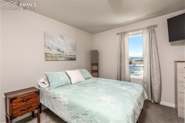 bedroom featuring baseboards and carpet flooring