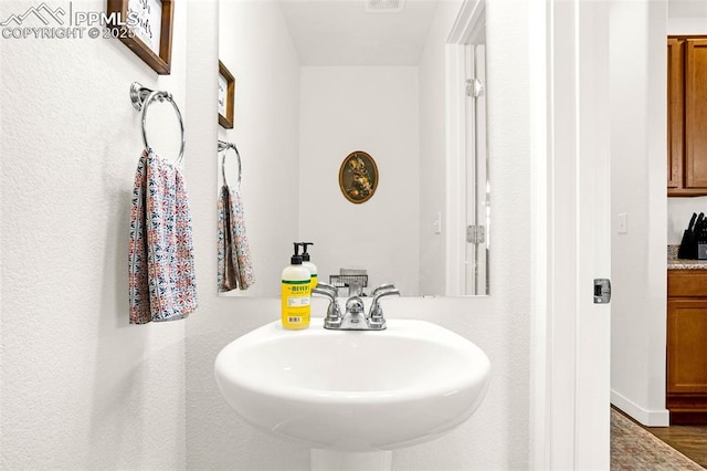 bathroom with wood finished floors, a sink, and visible vents