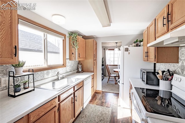 kitchen featuring dark wood-type flooring, under cabinet range hood, light countertops, white appliances, and a sink