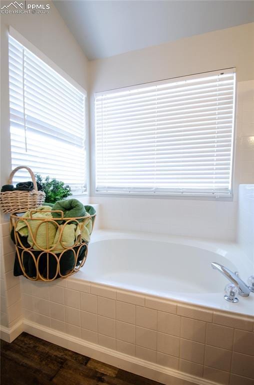 full bathroom featuring a wealth of natural light and a garden tub