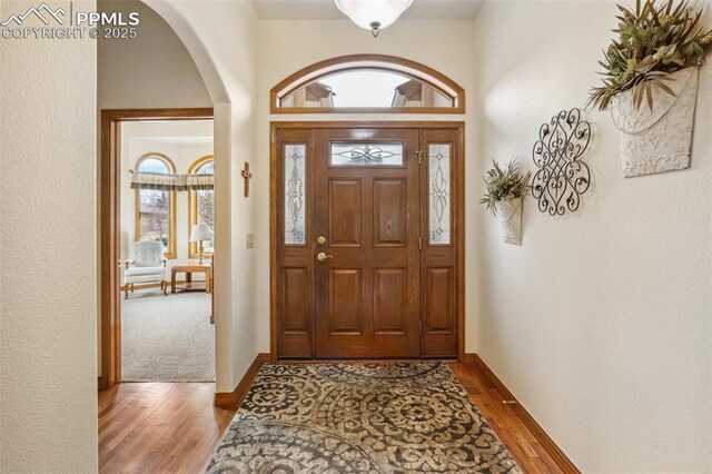 entrance foyer with baseboards and wood finished floors