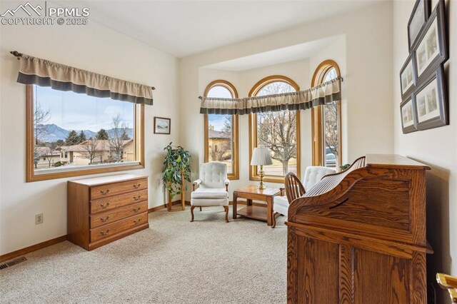 bedroom with multiple windows, baseboards, and carpet flooring