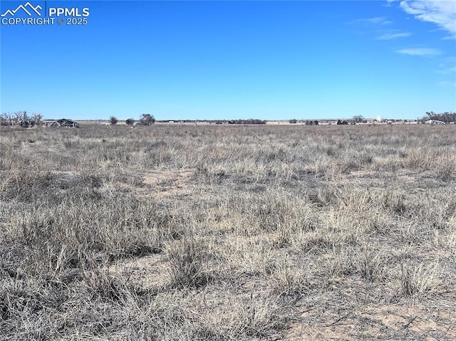 view of local wilderness with a rural view