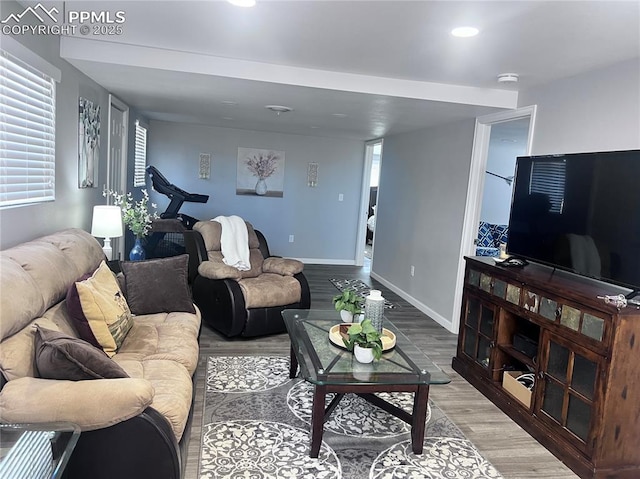 living room featuring baseboards and light wood-style floors