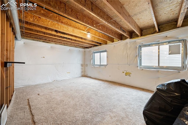 below grade area with carpet floors