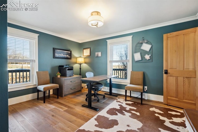 office featuring baseboards, ornamental molding, and wood finished floors