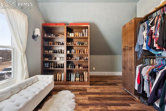 interior space featuring vaulted ceiling and dark wood-type flooring