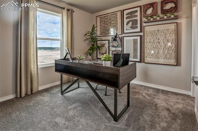 office area featuring baseboards and carpet floors