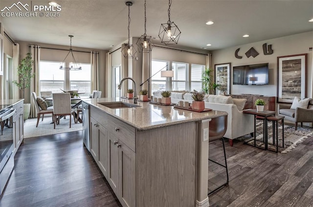 kitchen with a sink, stainless steel dishwasher, open floor plan, and dark wood-style flooring