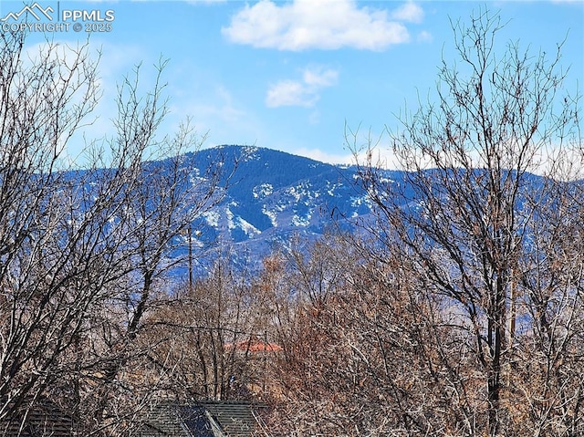 view of mountain feature