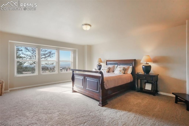 bedroom with baseboards and carpet floors