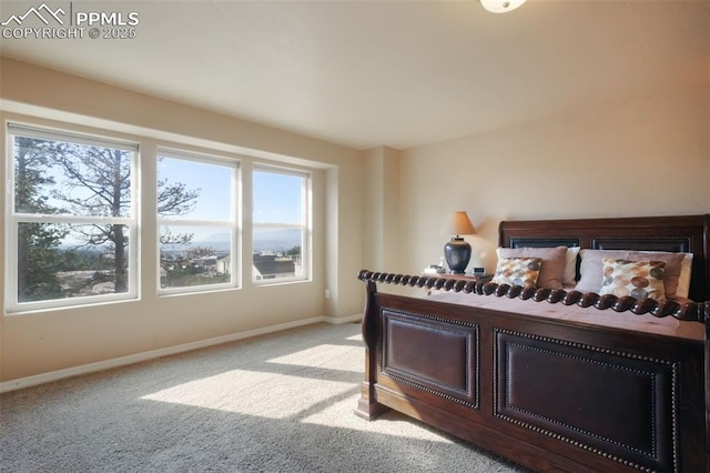 bedroom featuring baseboards and carpet floors