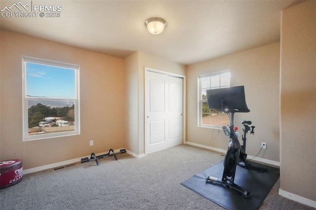 exercise room with a wealth of natural light, visible vents, baseboards, and carpet