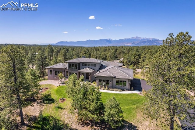 bird's eye view featuring a mountain view and a wooded view