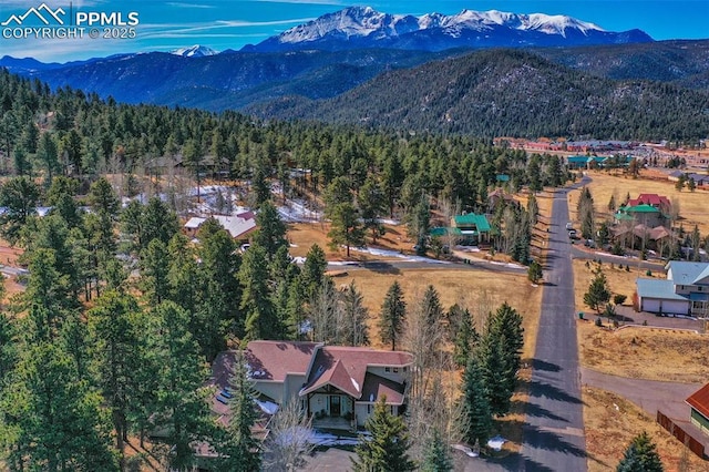 birds eye view of property with a mountain view and a view of trees