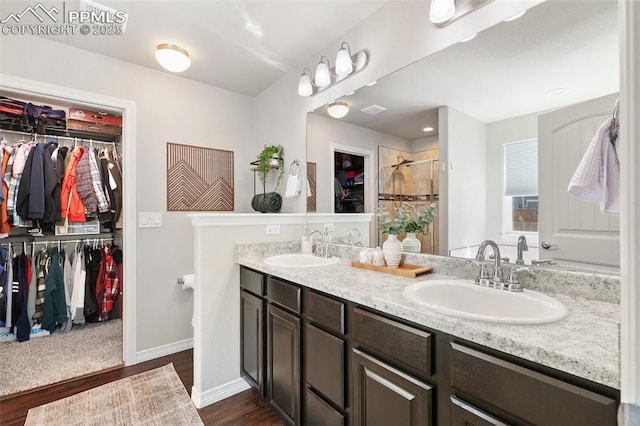 full bath featuring a walk in closet, a sink, a shower stall, and double vanity