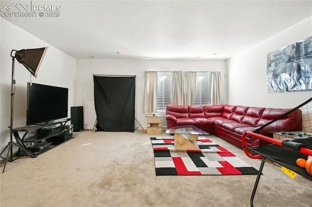 view of carpeted living area