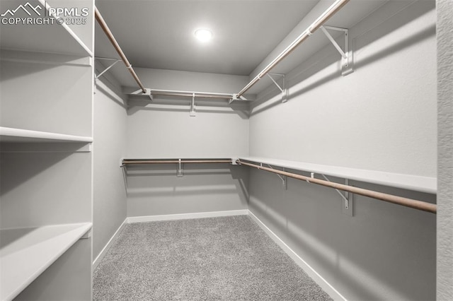 6395 Laud Pt, Colorado Springs, CO 80924 - spacious closet featuring carpet floors