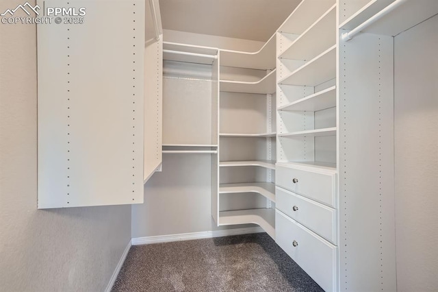 walk in closet featuring dark colored carpet